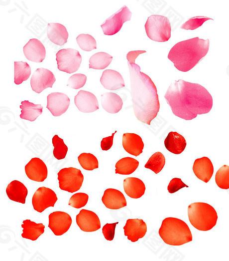 金鼎配资  科创板首单重组问询“划重点”：投资视角和风险揭示