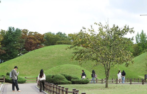 富灯网  新华走笔丨古城庆州的中国印记